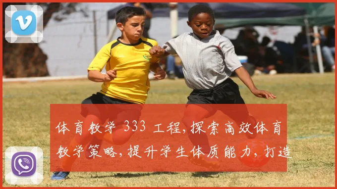 体育教学 333 工程,探索高效体育教学策略,提升学生体质能力,打造优质课堂体验。