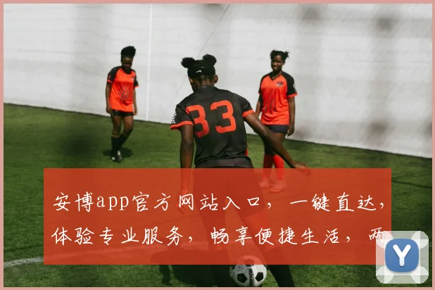 安博app官方网站入口，一键直达，体验专业服务，畅享便捷生活，两大特色功能，不容错过
