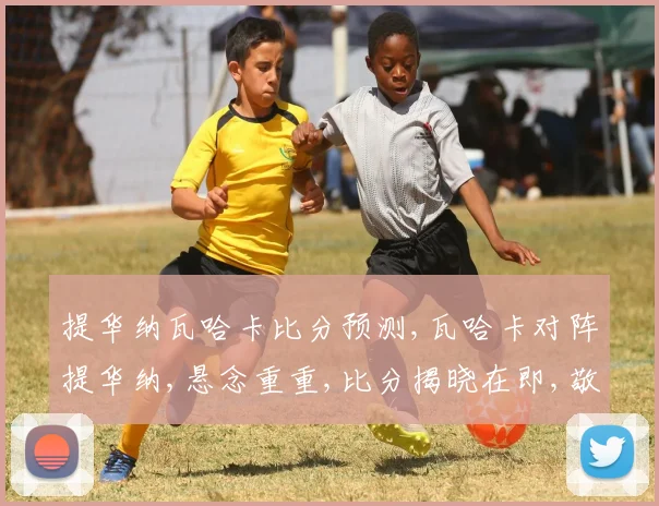 提华纳瓦哈卡比分预测,瓦哈卡对阵提华纳,悬念重重,比分揭晓在即,敬请期待